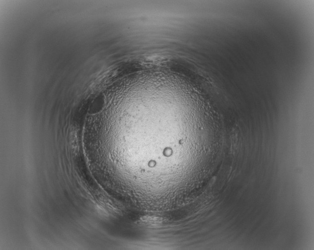 X0000076430699200610161153