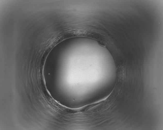 X0000076430700200610161153