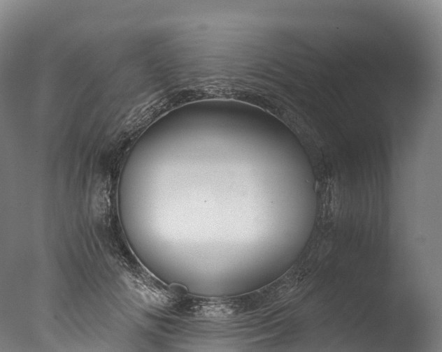 X0000076430702200610161153
