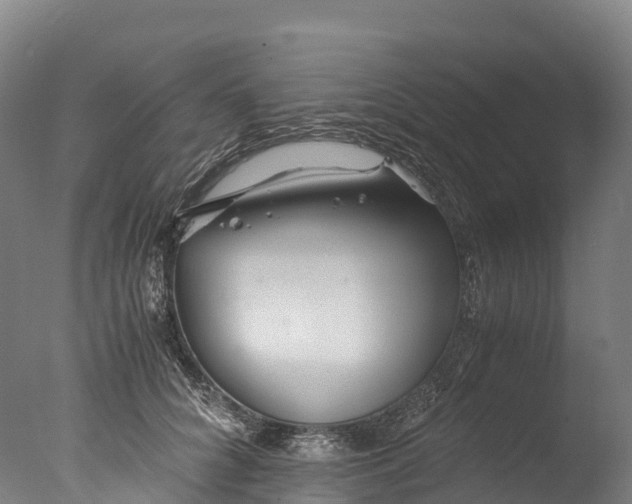 X0000076430704200610161153