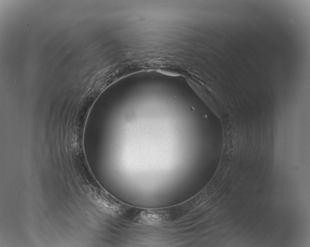 X0000076430706200610161153