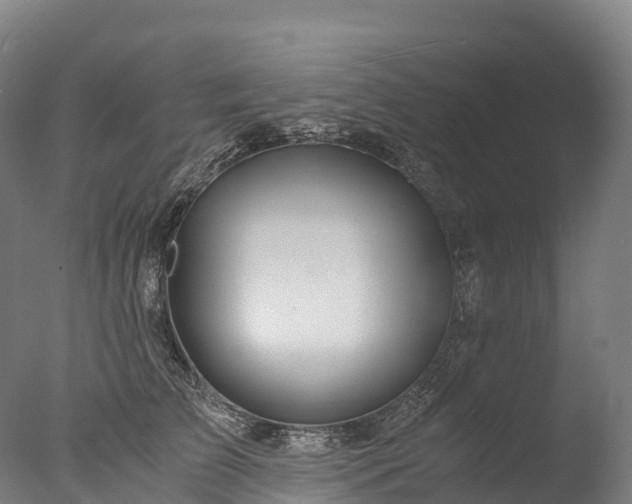 X0000076430709200610161152