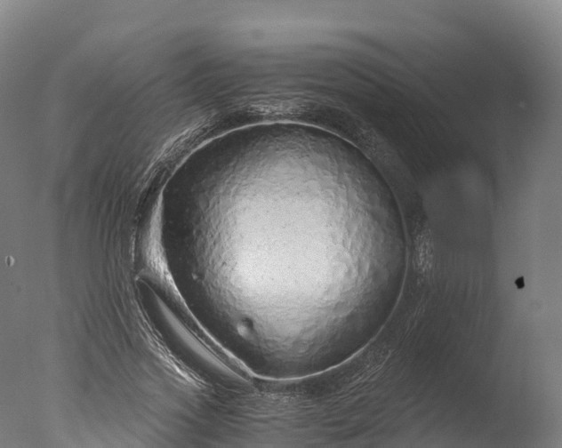 X0000076430733200610161152