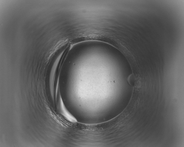 X0000076430738200610161152