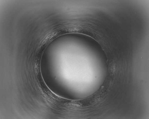 X0000076430743200610161152