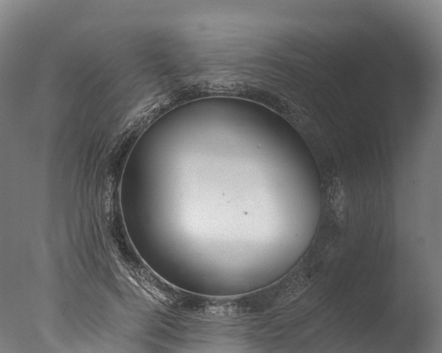 X0000076430744200610161152