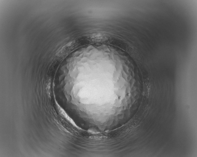 X0000076430745200610161152