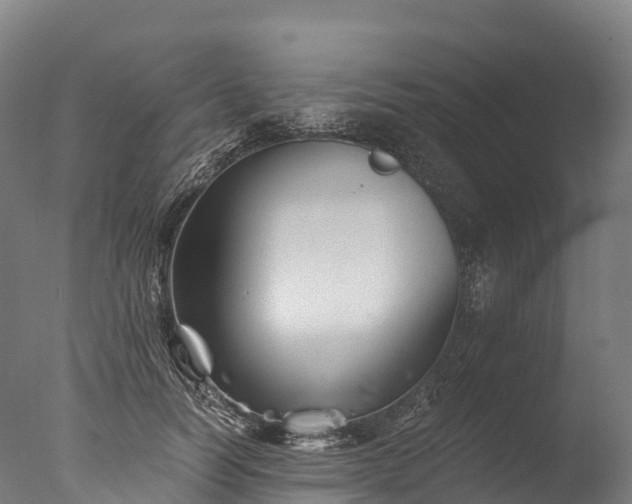X0000076430746200610161152