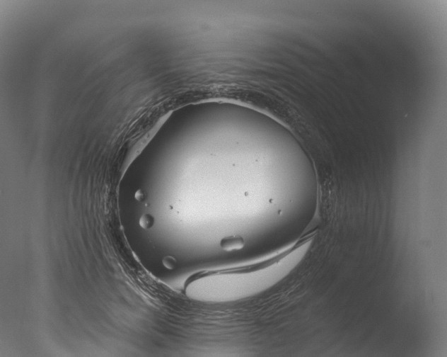 X0000076430750200610161152