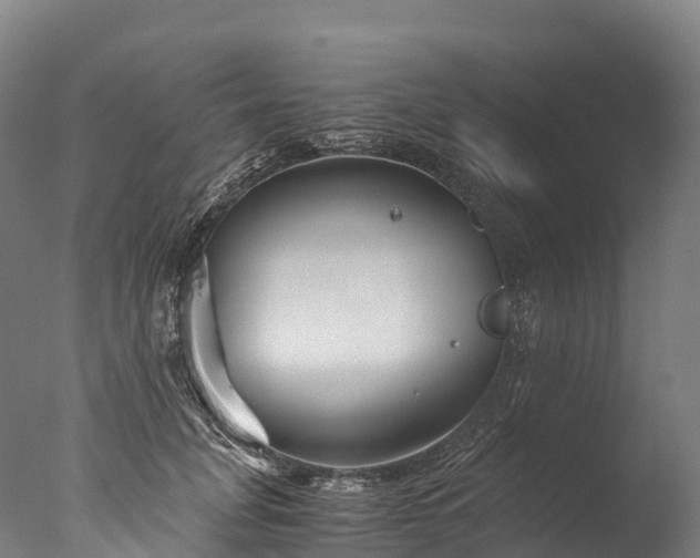 X0000076430751200610161152