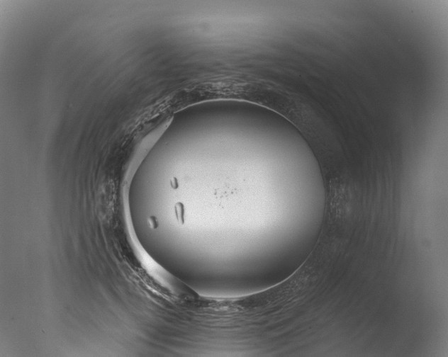 X0000076430752200610161152
