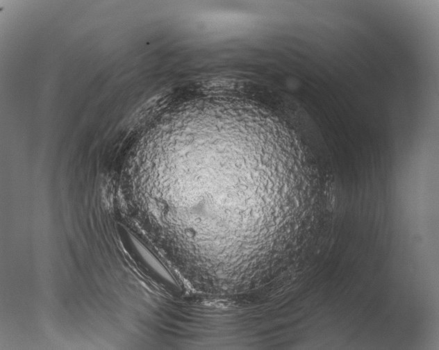 X0000076430753200610161152