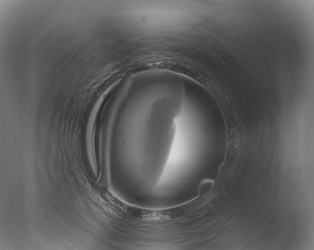 X0000076430754200610161152