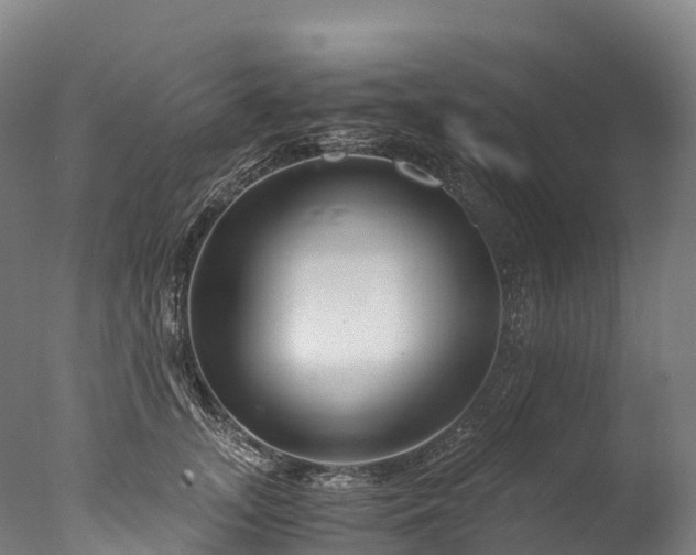X0000076430755200610161152