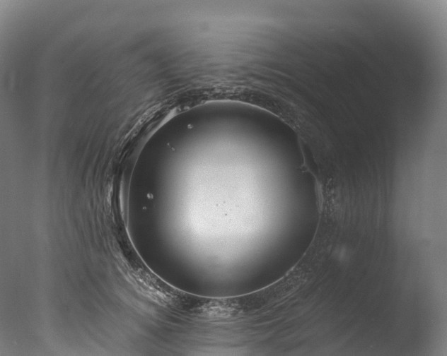 X0000076430756200610161152