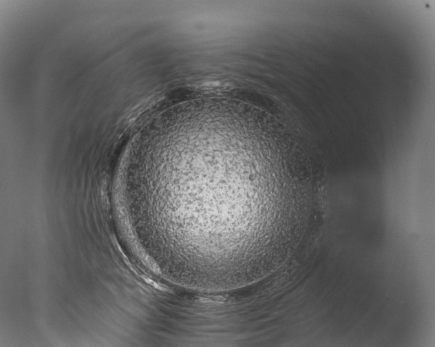 X0000076430757200610161152
