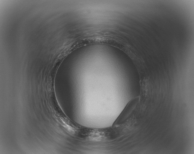 X0000076430760200610161152