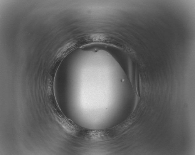X0000076430762200610161152