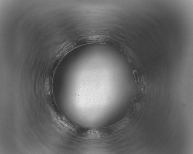 X0000076430764200610161152