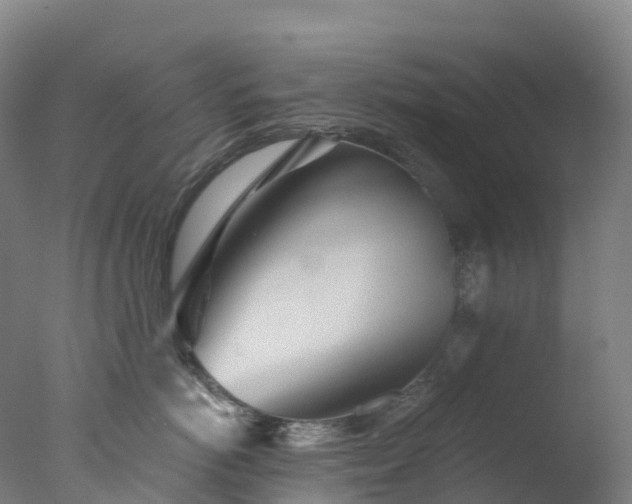 X0000076430766200610161152