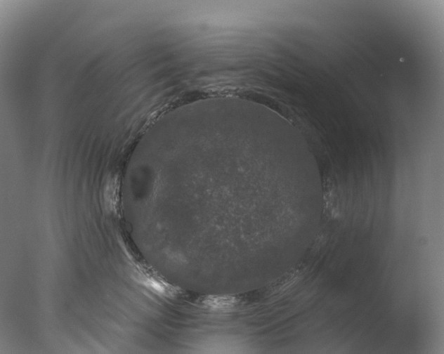 X0000076430767200610161152
