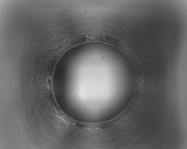 X0000076430770200610161151