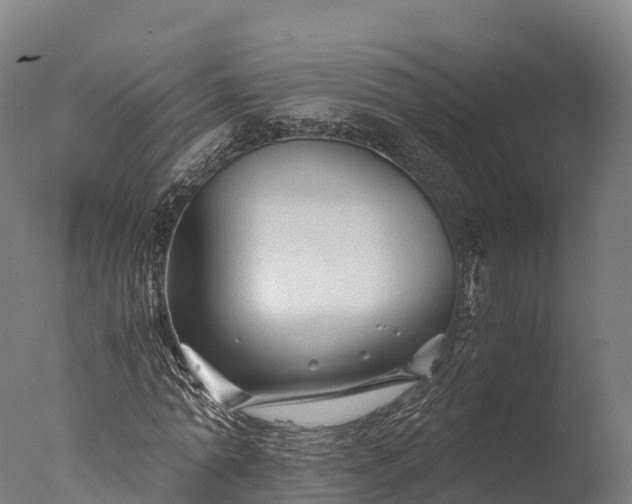 X0000076430774200610161151