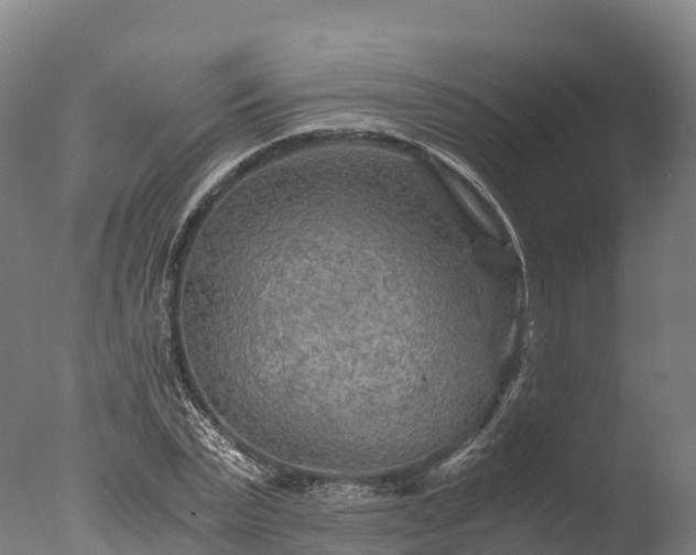 X0000076430783200610161151