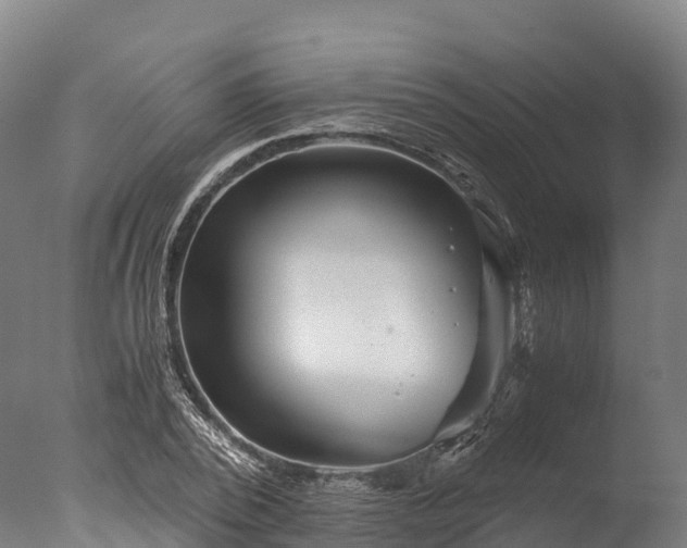X0000076430784200610161151