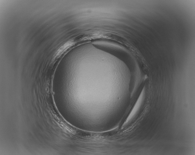 X0000076430785200610161151