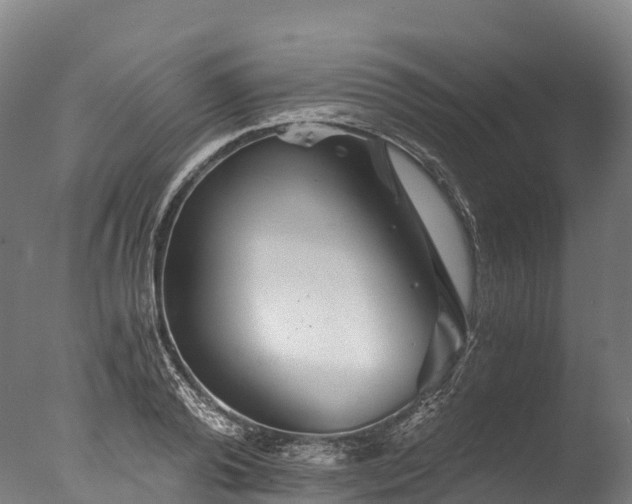X0000076430792200610161151