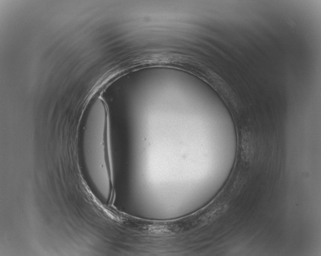 X0000076430794200610161151