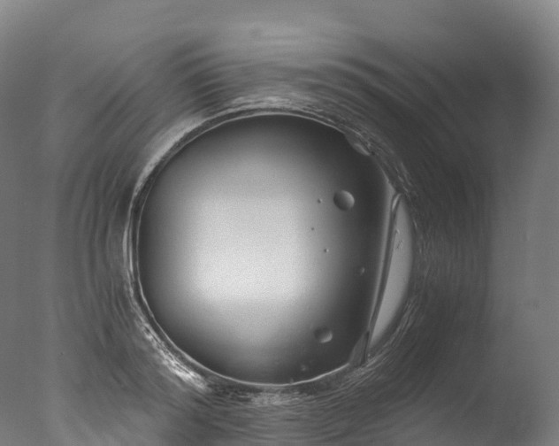 X0000076430796200610161151