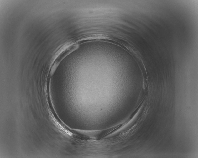 X0000076430797200610161151