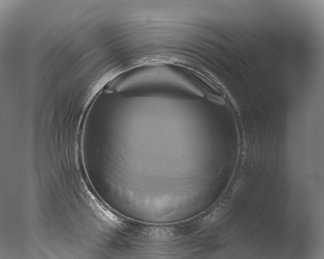 X0000076430802200610161151