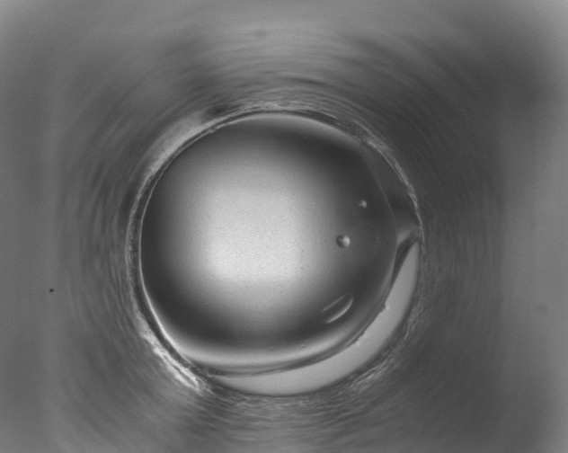 X0000076430803200610161151