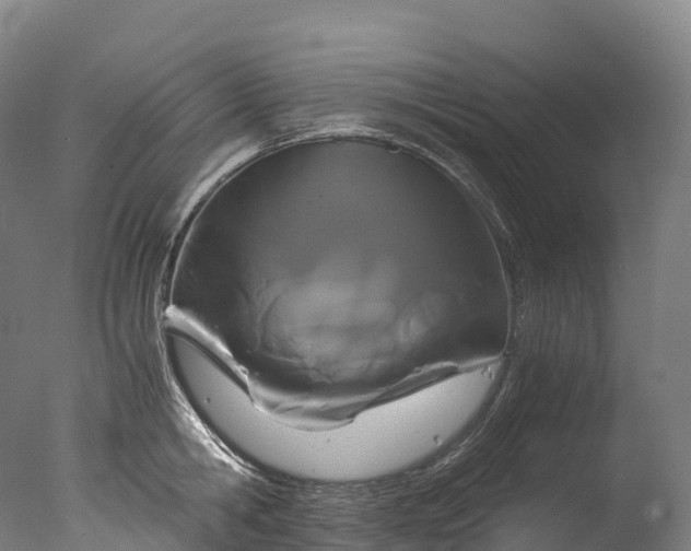 X0000076430806200610161151