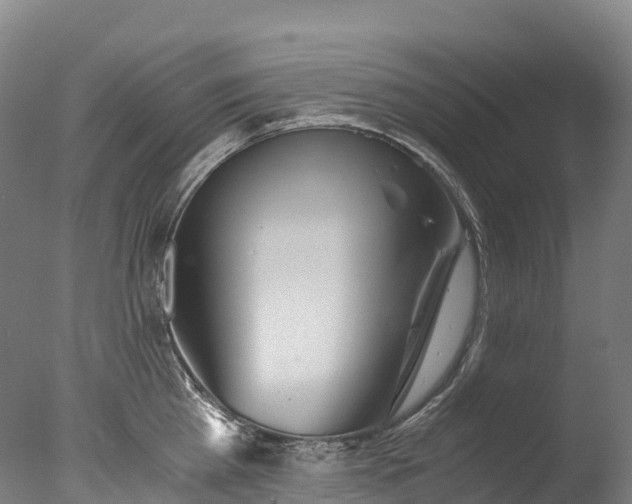 X0000076430809200610161151