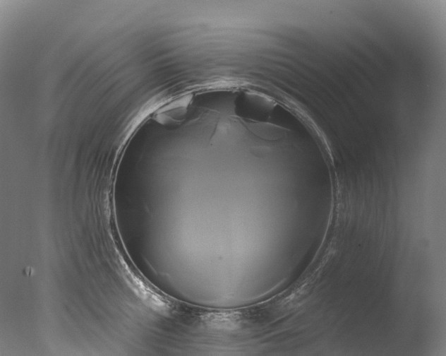 X0000076430810200610161151