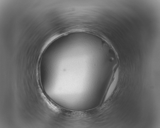 X0000076430811200610161151