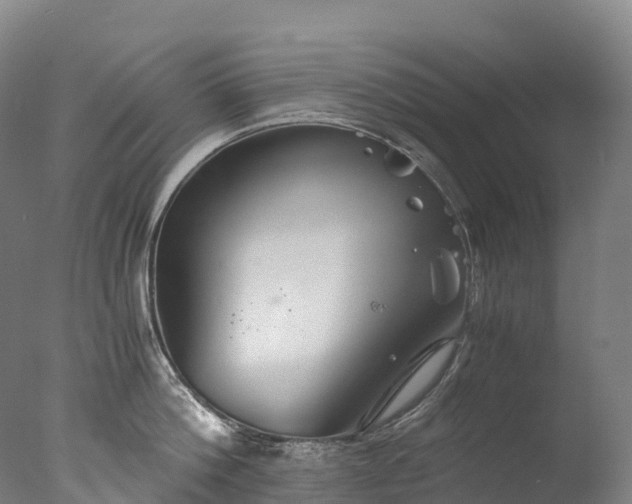 X0000076430812200610161151
