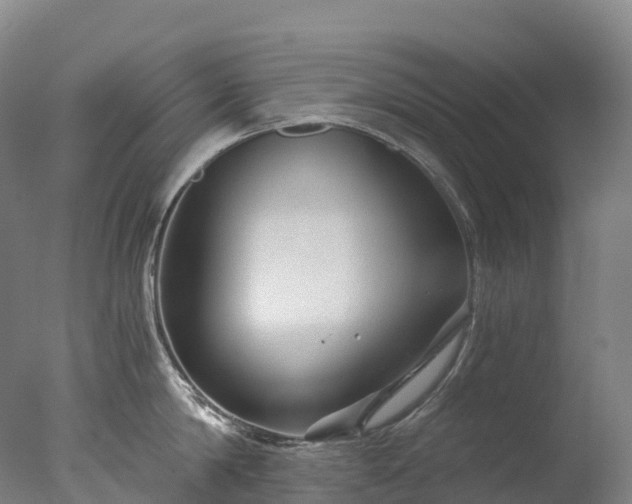 X0000076430814200610161151