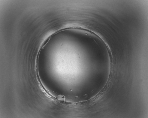 X0000076430815200610161151