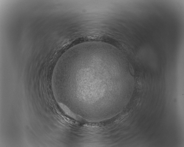 X0000076430817200610161150