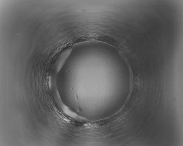 X0000076430818200610161150