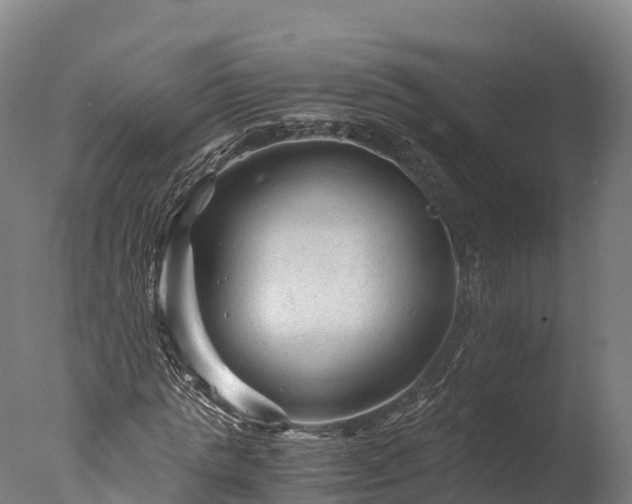 X0000076430821200610161150
