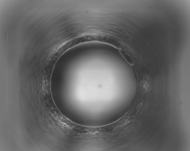 X0000076430822200610161150