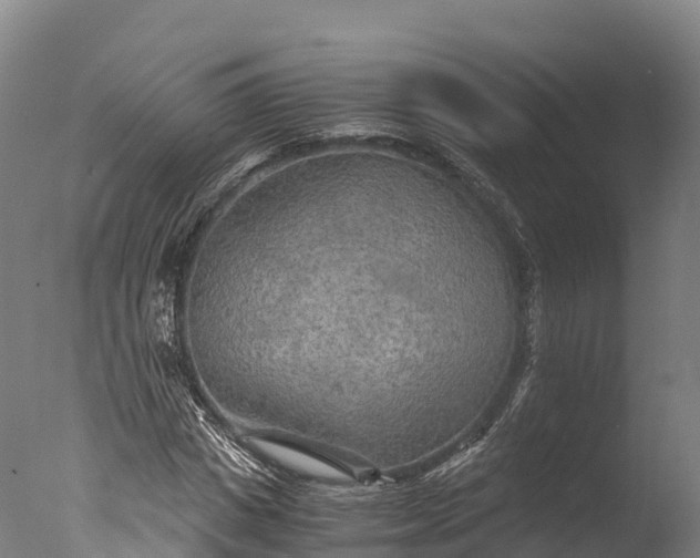 X0000076430825200610161150