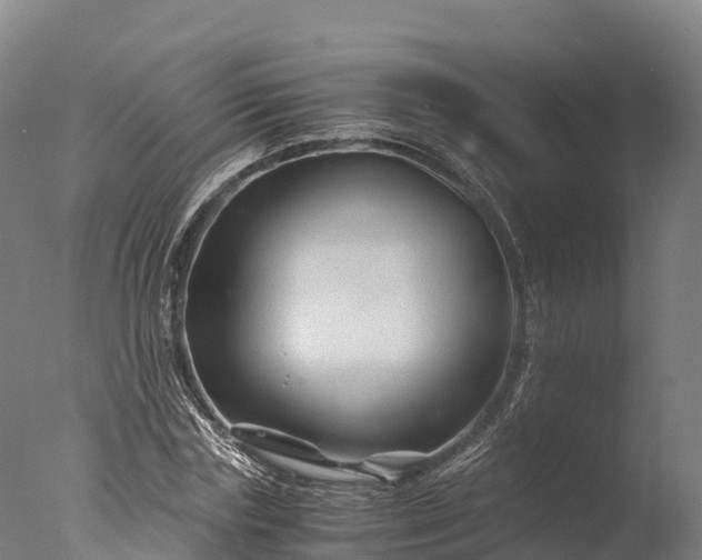 X0000076430827200610161150
