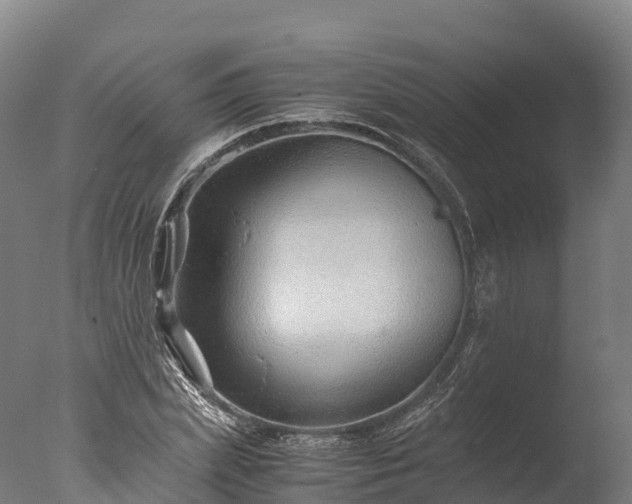 X0000076430831200610161150
